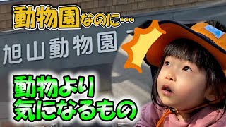 旭山動物園で娘が気になったものとは！？え？動物より気になるの？