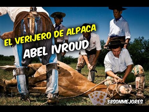 El Verijero de Alpaca | Abel Ivroud
