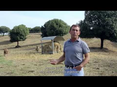 afbeelding Steak (R)evolution