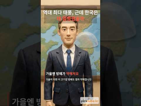 왜 태풍은 24개나 왔는데 우리나라는 멀쩡했을까?