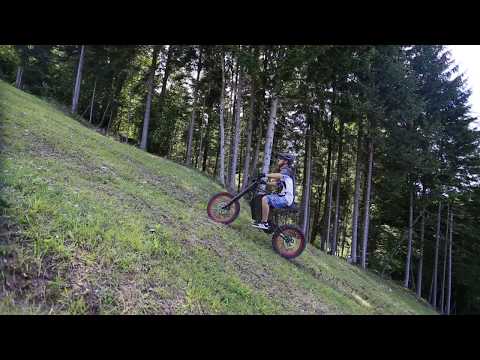 Vector Vortex Ebike