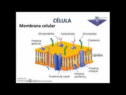 Fisiología Celular UNERG I