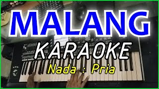 Download lagu MALANG - KARAOKE DANGDUT Rhoma Irama cover Pa3x mp3