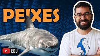 Peixes - Aula 28 - Módulo VI: Zoologia | Prof. Gui