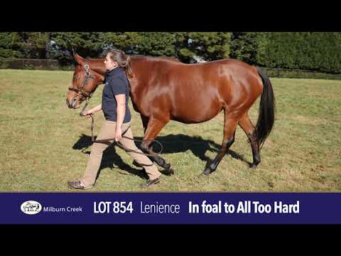 2021 Gold Coast National Broodmare Sale Lot 854