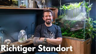 Der perfekte Standort für dein Aquarium!