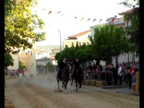 pariglie  silanus 11.08 .2014