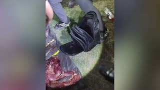 San Juan cuenta con un laboratorio para detectar carne de burro y de caballo