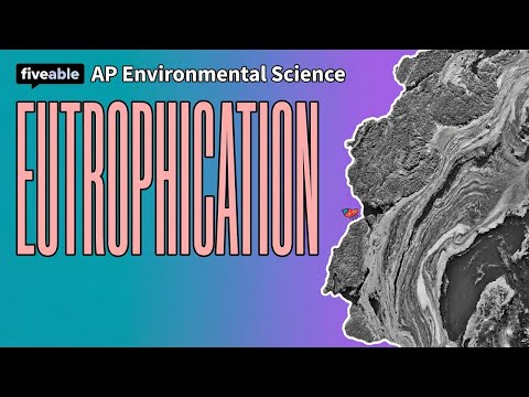 AP Environmental Science - Eutrophication & Hypoxia