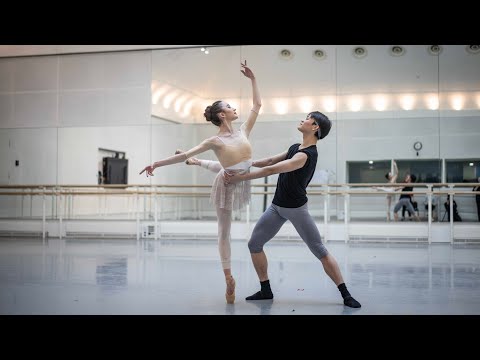 Diana and Actaeon - highlights