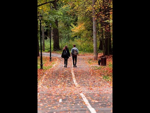 Grand Symphonix Orchestra Paul Mauriat - feuilles d'automne