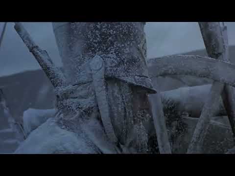 Beauty of The Duellists