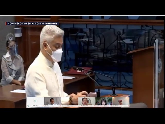 WATCH: Opening of Senate of the Philippines ahead of SONA 2020