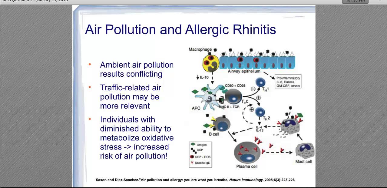 Allergic rhinitis: the environment, genetics, and how they interact