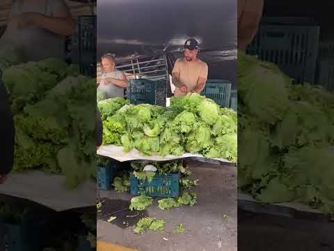 Feira livre Caldas Novas - Goiás - PARTE 2