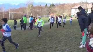 TRICHIANA     Melere     Campestre C S I   Belluno     29 Novembre 2015