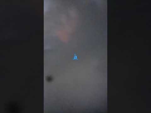 8 de novembro de 2021