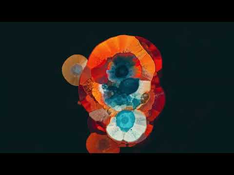 Joris Voorn and Spectrum