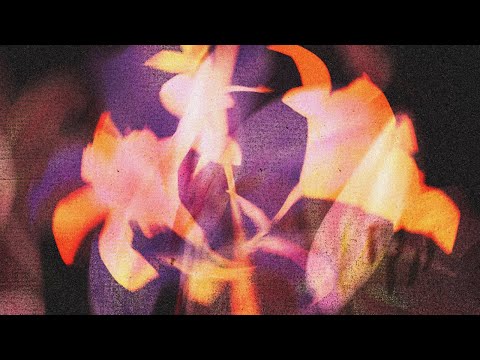 Dream, Ivory - Tangerine Dream (Official Visualizer)