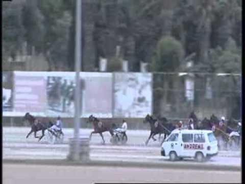 www kennethvella.com  Meeting (24) Date 17-5-2015 Race 1,2,3,4,5,6,7,8,9,10.