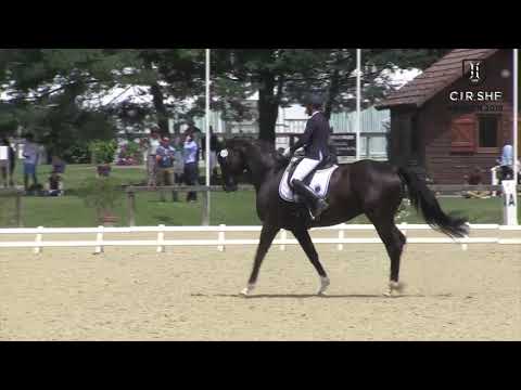 CIR SHF 2018 - Dressage Vierzon 6 ans - Muschamp Royal Black