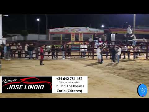 Rincón del Obispo. San José obrero. Suelta de 1 novillo de la ganadería Enrique Serrano. Domingo mad