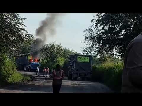 A esta hora guerrilleros hacen presencia en el Cauca.