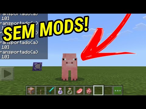 MIT Play - How to turn any mob in Minecraft without mods!!