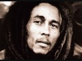 Bob Marley Is This Love instrumental 