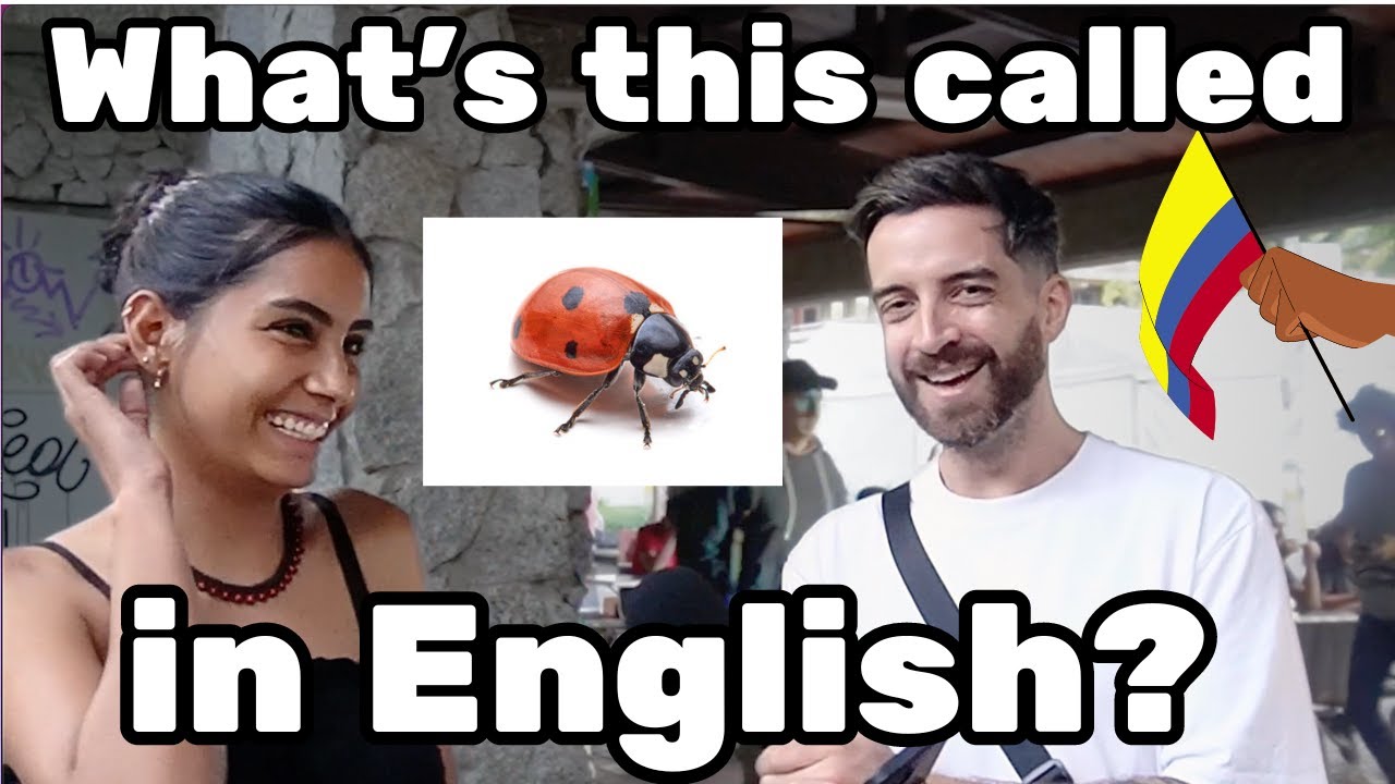 Can Colombians Speak English?