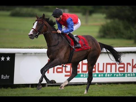 Mülheim: Preis von Engel & Völkers Commercial Mülheim (D) - Sieger: Ito