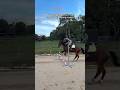 POV: you get a lesson with that showjumping coach #horse #equestrian #showjumping #showjumper