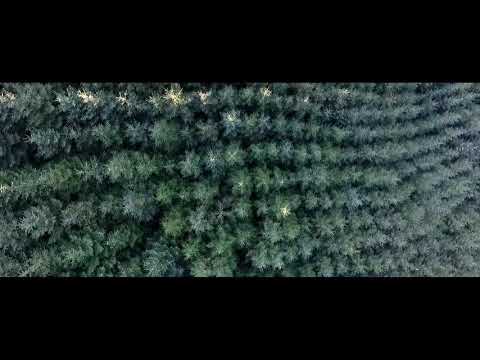 Drone Video Of Ireland   Criador em destaque Andrew Grant