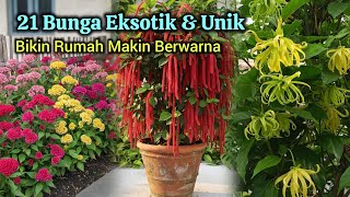 Download lagu 21 Exotic and Unique Flowers That Can Beautify Your Yard mp3 Download lagu 21 Exotic and Unique Flowers That Can Beautify Your Yard mp3