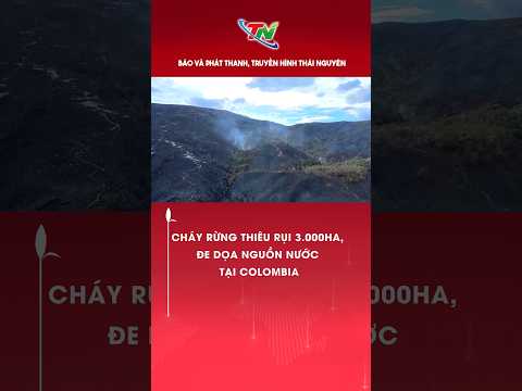 Cháy rừng thiêu rụi 3 000ha, đe dọa nguồn nước tại Colombia