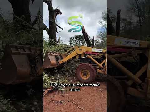 🌪️ SAN PEDRO, MISIONES: tornado