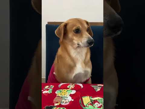 Vídeo de André