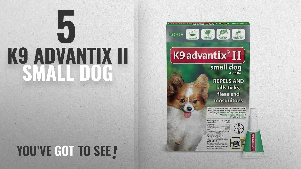 Bayer Animal Health BAYER 004BAY-04458455 K9 Advantix II for Small Dogs 4 - 10 lbs, Green - 4 Months