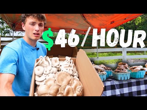 How I Created My Own Market Selling Mushrooms