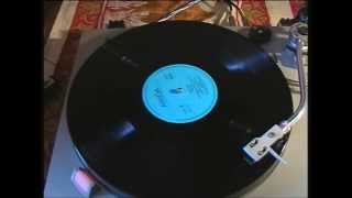 Tanita Tikaram - Twist in my Sobriety (HQ, Vinyl)