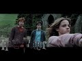 Harry Potter You You Foul Loathsome Evil Little Cockroach Multilanguage