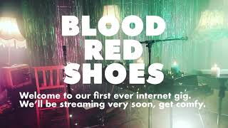 Blood Red Shoes livestream perfomance (24 10 2020)