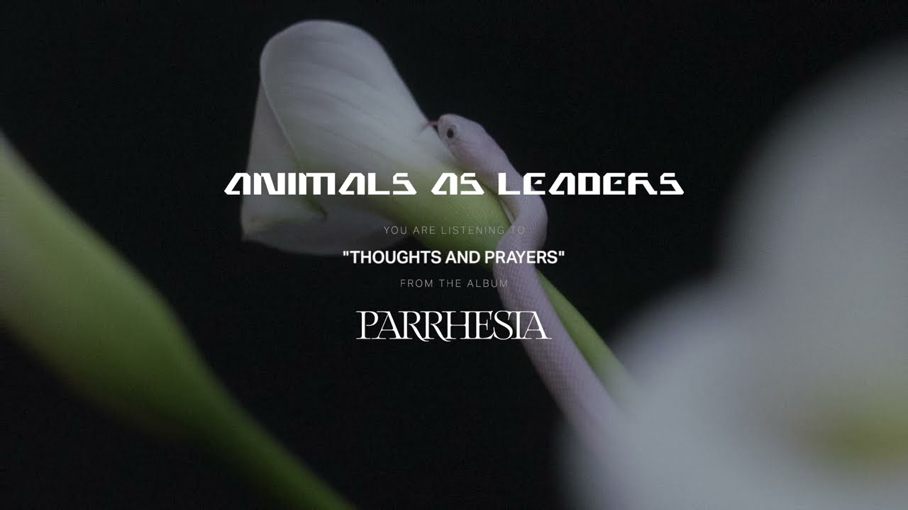 ANIMALS AS LEADERS - Thoughts and Prayers - YouTube