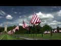 Adult Swim Bumps Memorial Day 2016