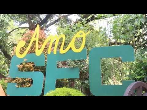 CFC Single For Christ Negros Occ. Provincial Conference 2016