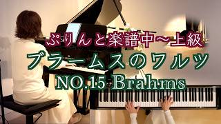 Download lagu 【♬ブラームスのワルツ No.15/Brahms】リンク付き ぷりんと楽譜中上級 @1211piano ペダル付き mp3