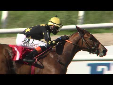 201101 c05 N Storace/ HONRA REAL (BRZ)