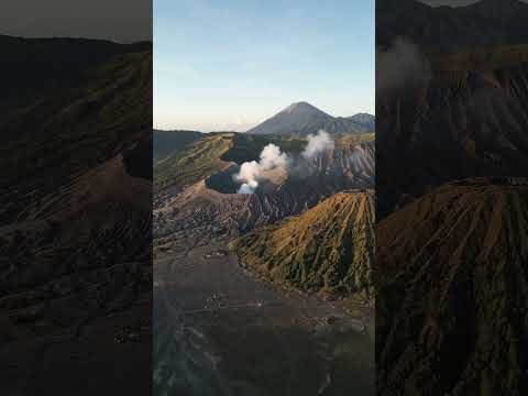 Recent Developments Involving Flores Span Indonesian Seismology, Muay Thai Competition, and Professional Coaching