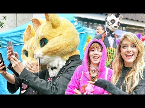 MEANWHILE IN JAPAN // Halloween Ghost Cat Festival // Bakeneko