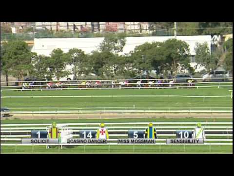 2014 Vinery Stud Stakes - Lucia Valentina